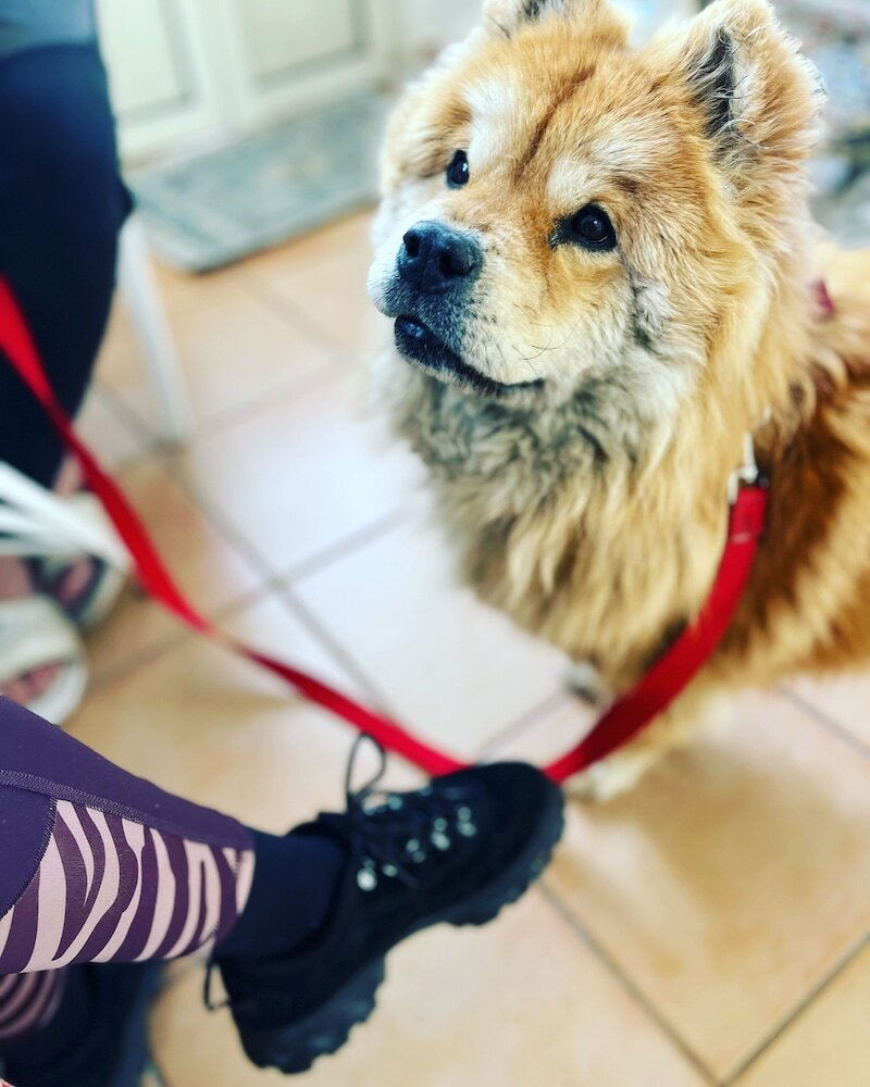 Фото Barocchetto Romano