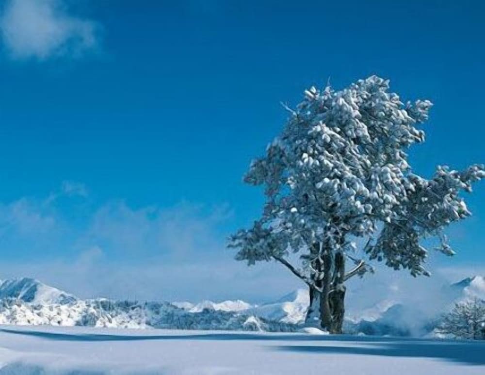 Фото Hotel Arinsal