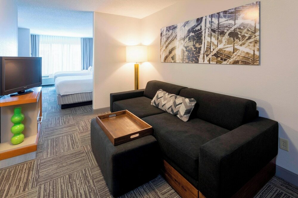 Фото SpringHill Suites by Marriott Rochester-Mayo Clinic/St Marys