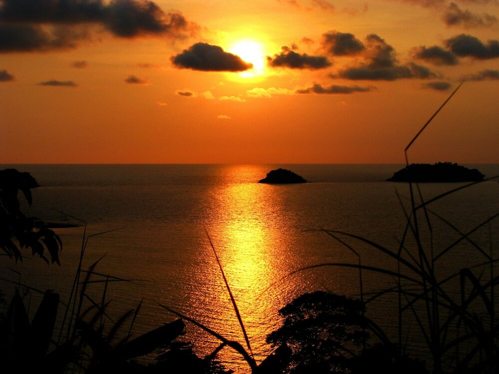 Фото Paradise Bungalows