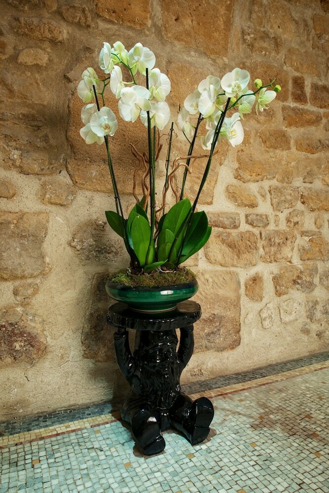 Фото Hotel le Clos de Notre Dame