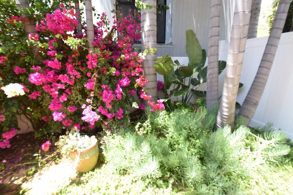 Фото Malibu Beach Paradise Apartments