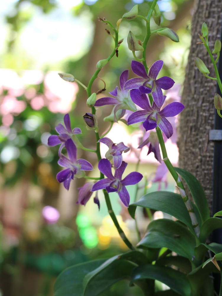 Фото Palita Lodge