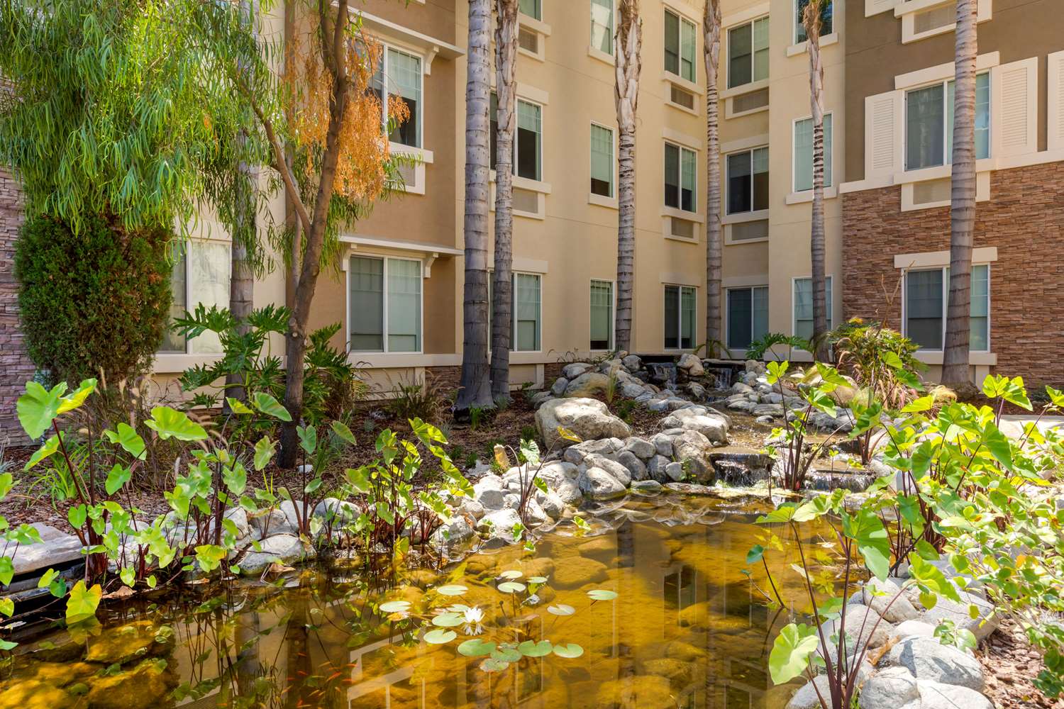 Фото Comfort Inn & Suites near Ontario Airport