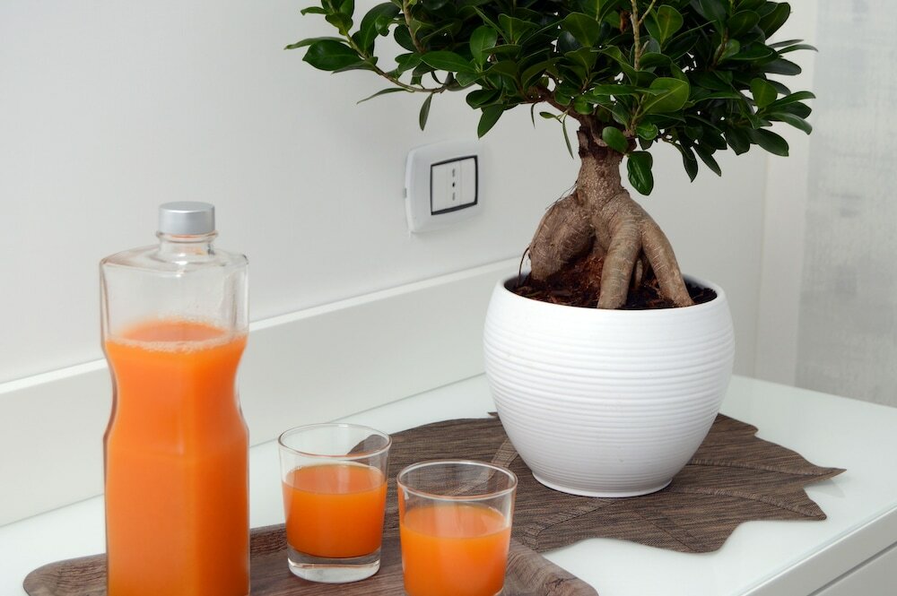 Фото Napoliseason Rooms and Breakfast