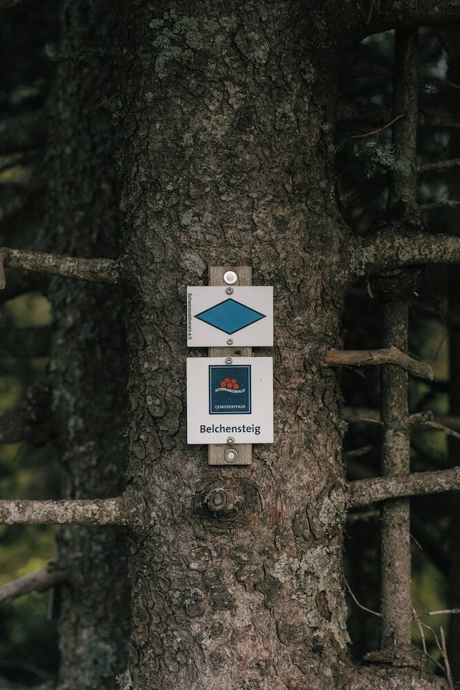 Фото Berghotel Wiedener Eck