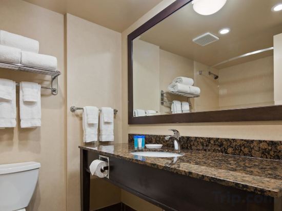 Фото Best Western Voyageur Place Hotel