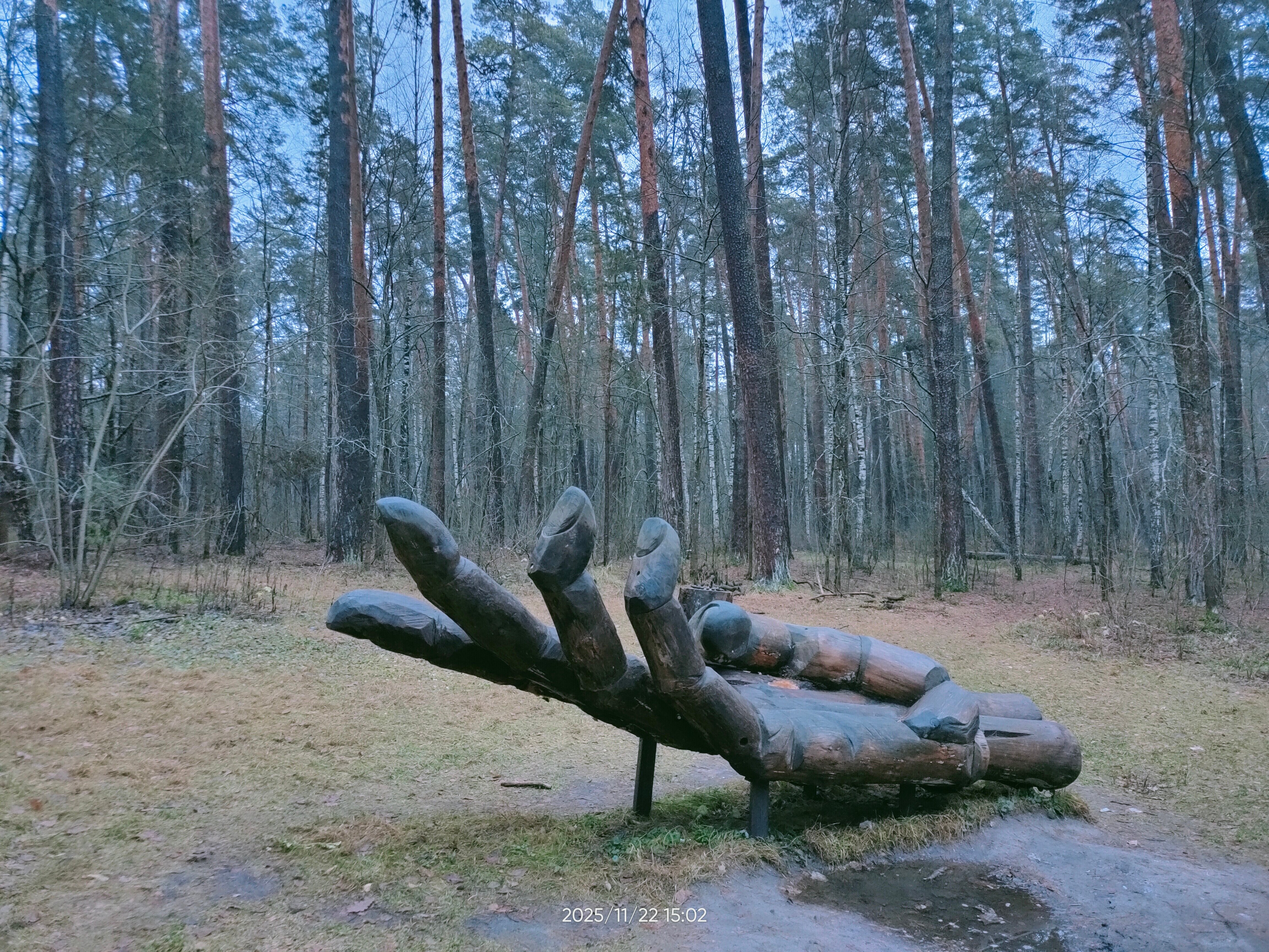 Фото Лесной бункер