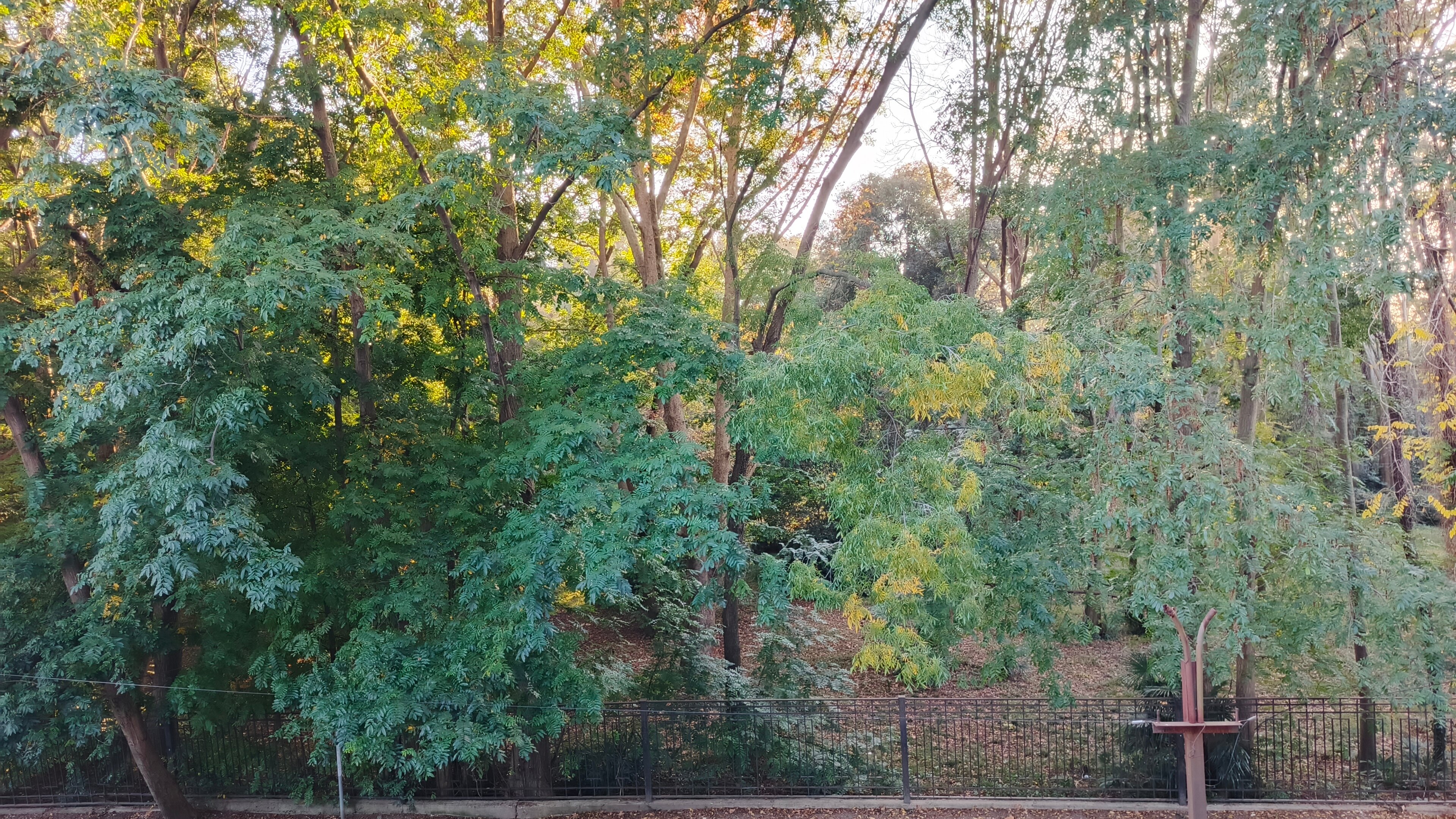 Фото Вертикаль, Паруса