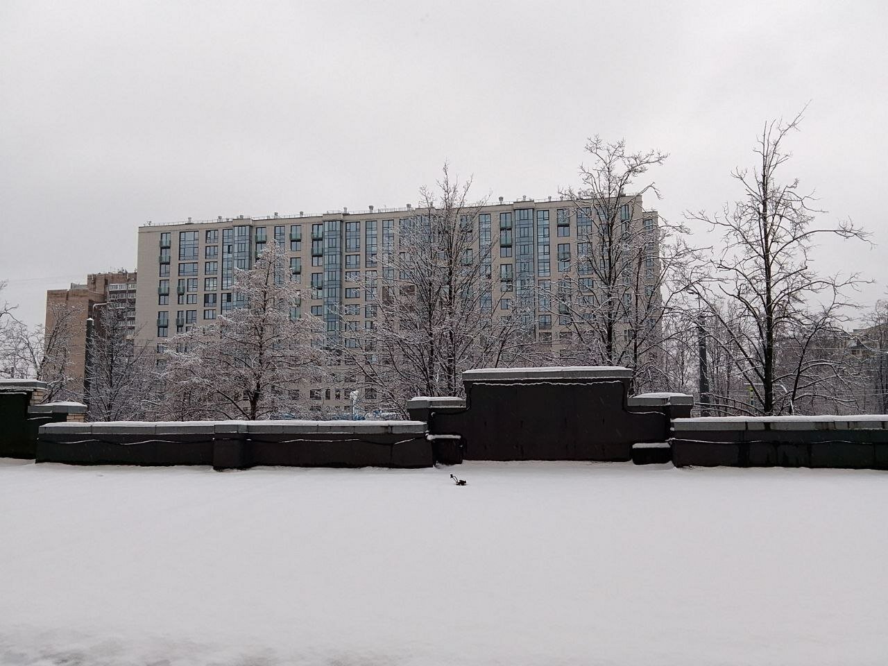 Фото Академия