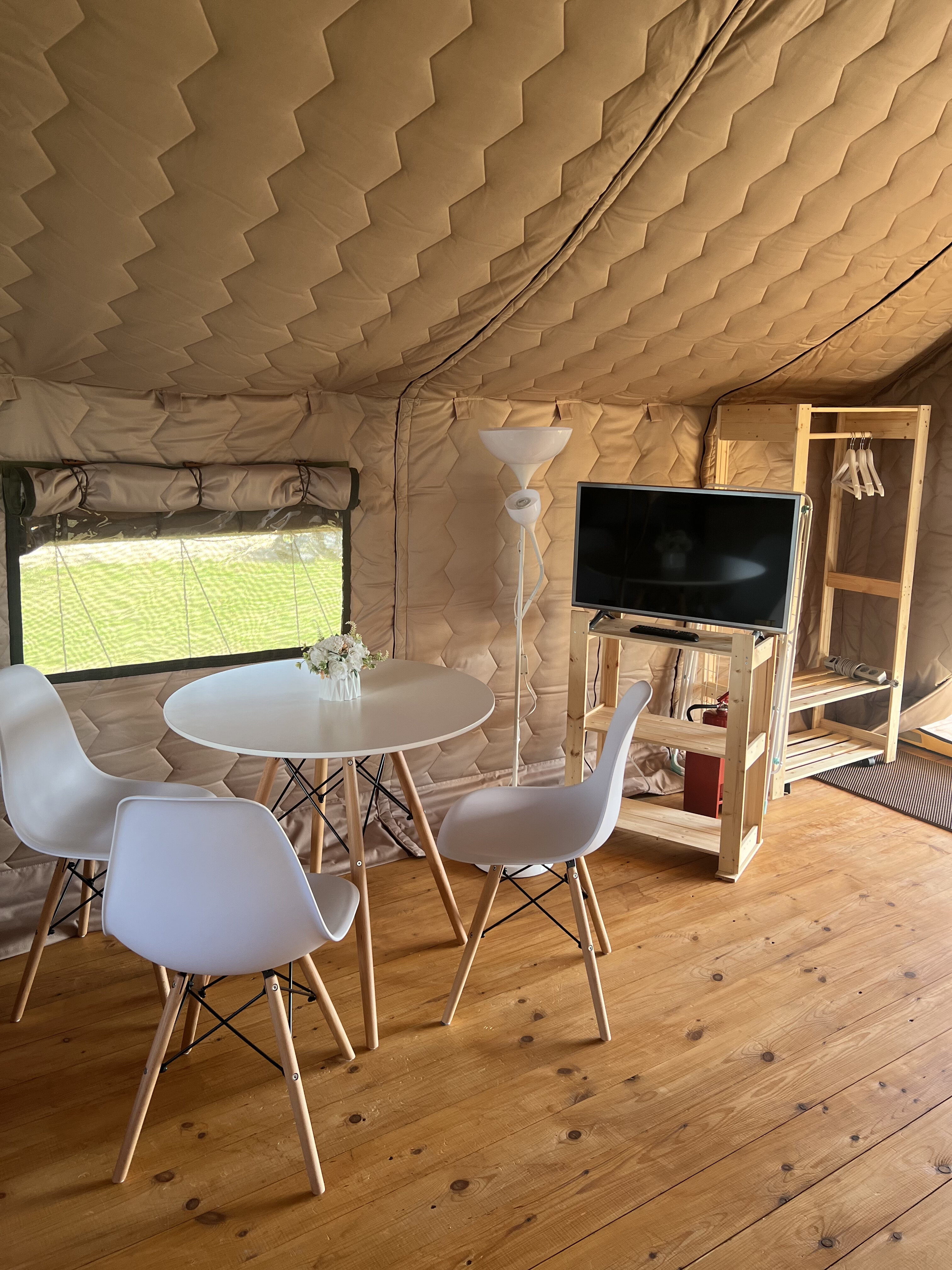 Фото Птички