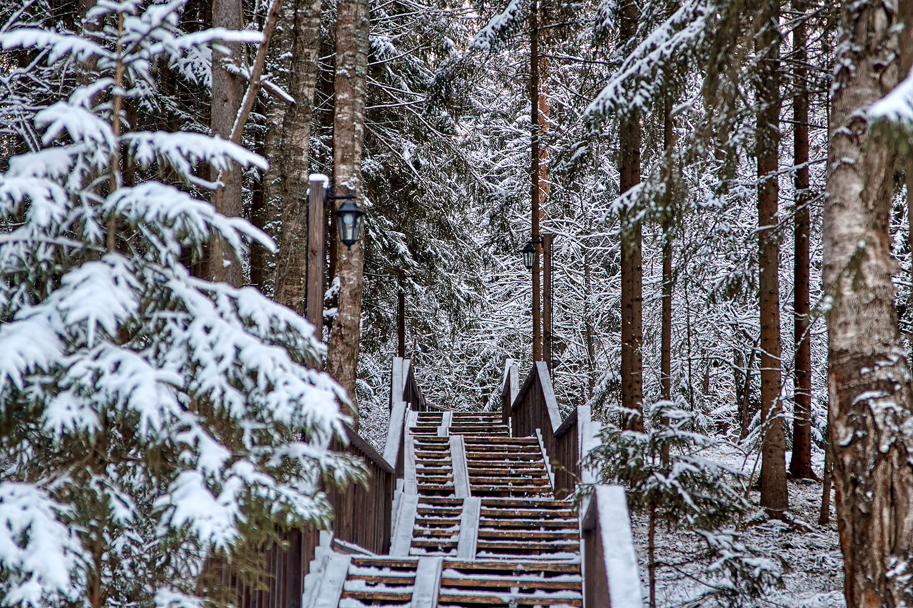Фото Истра Холидей