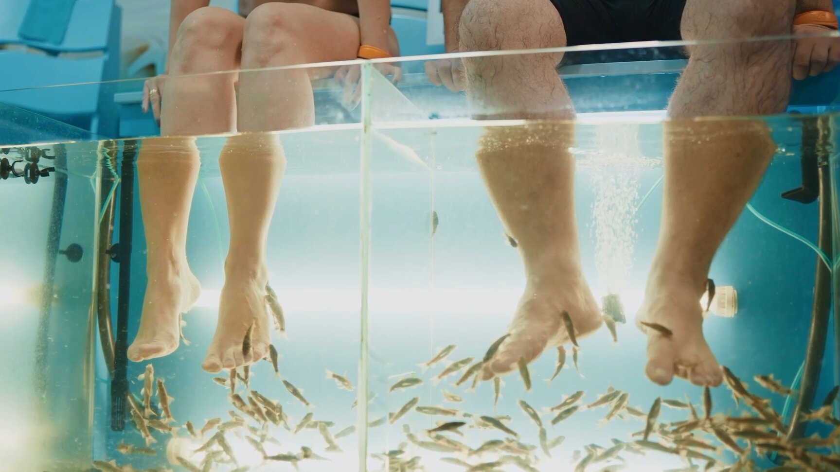 Фото Беловодье