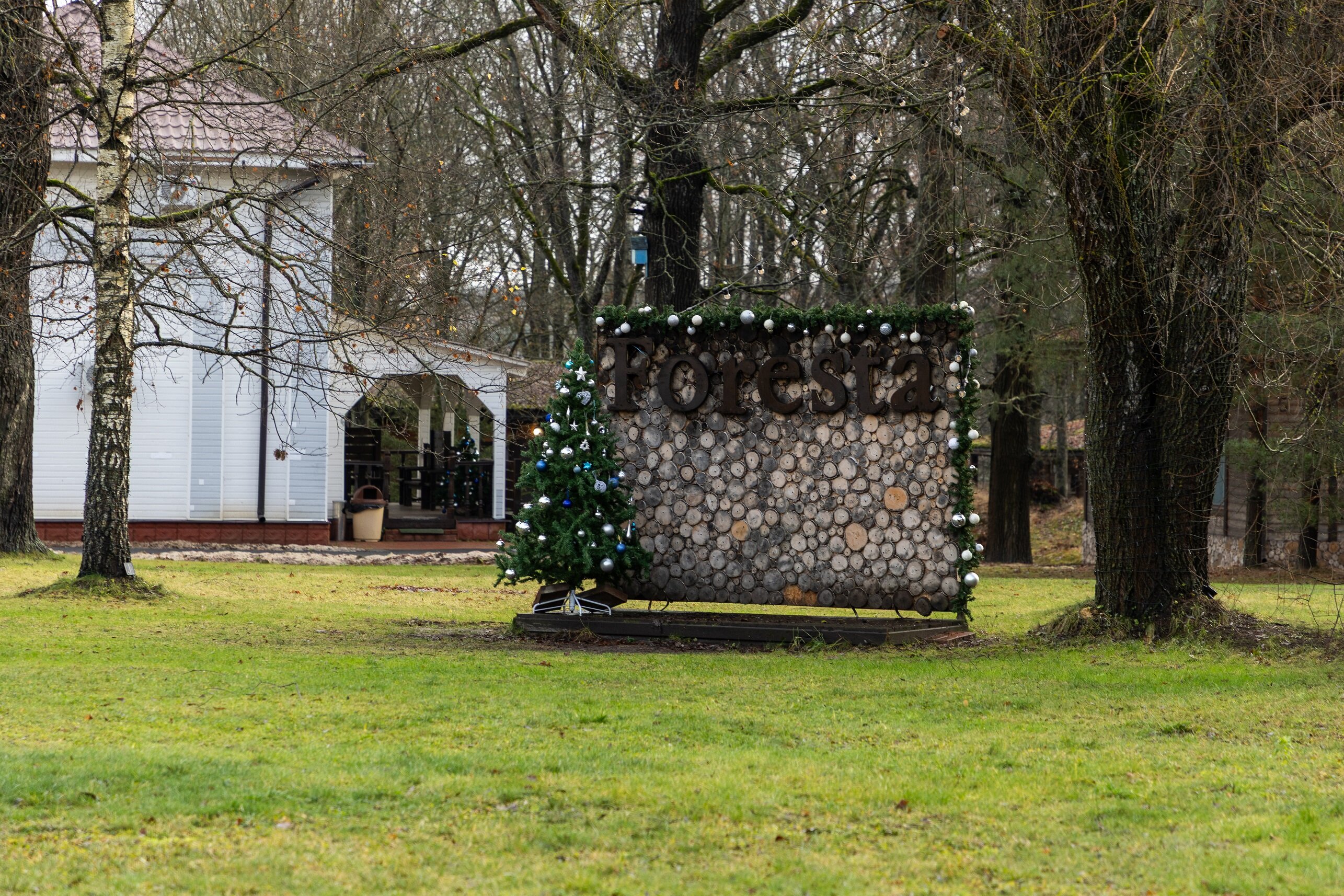 Фото Фореста Фестиваль Парк