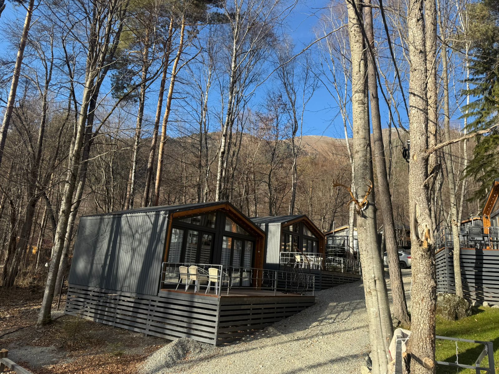 Фото Шёпот Леса