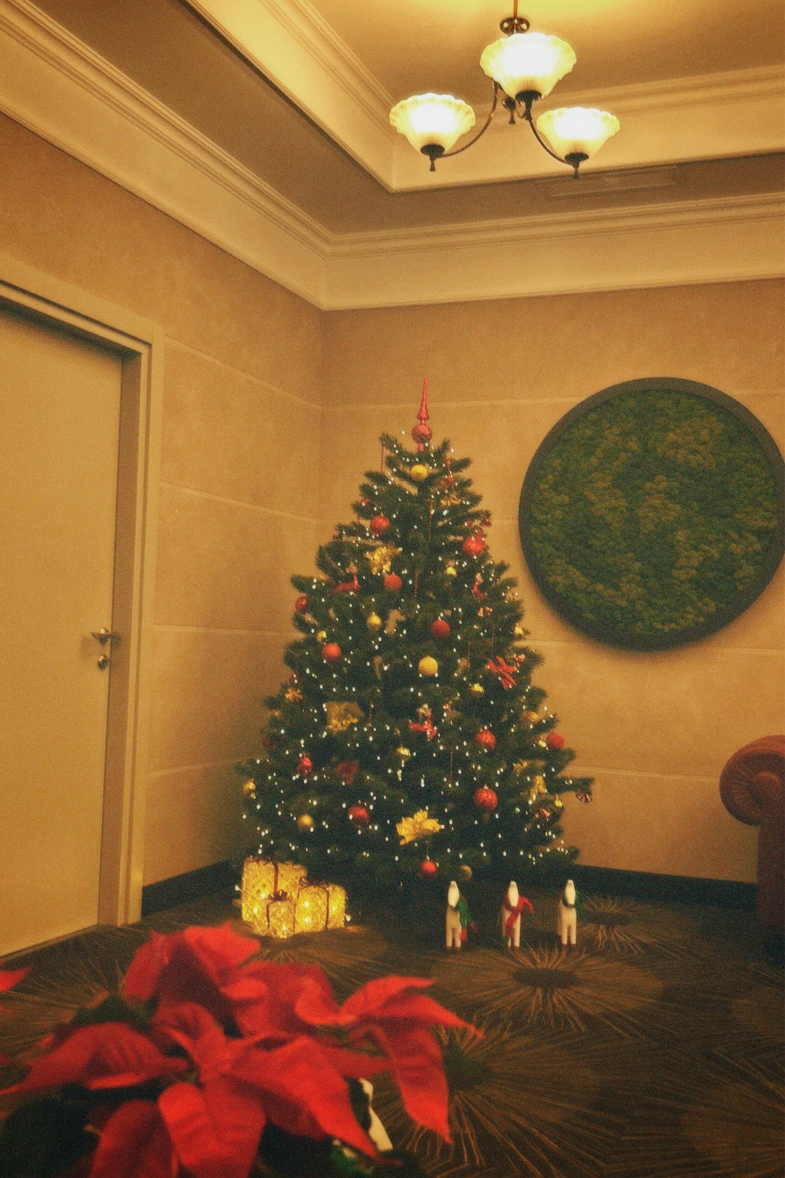 Фото Astor Hotel