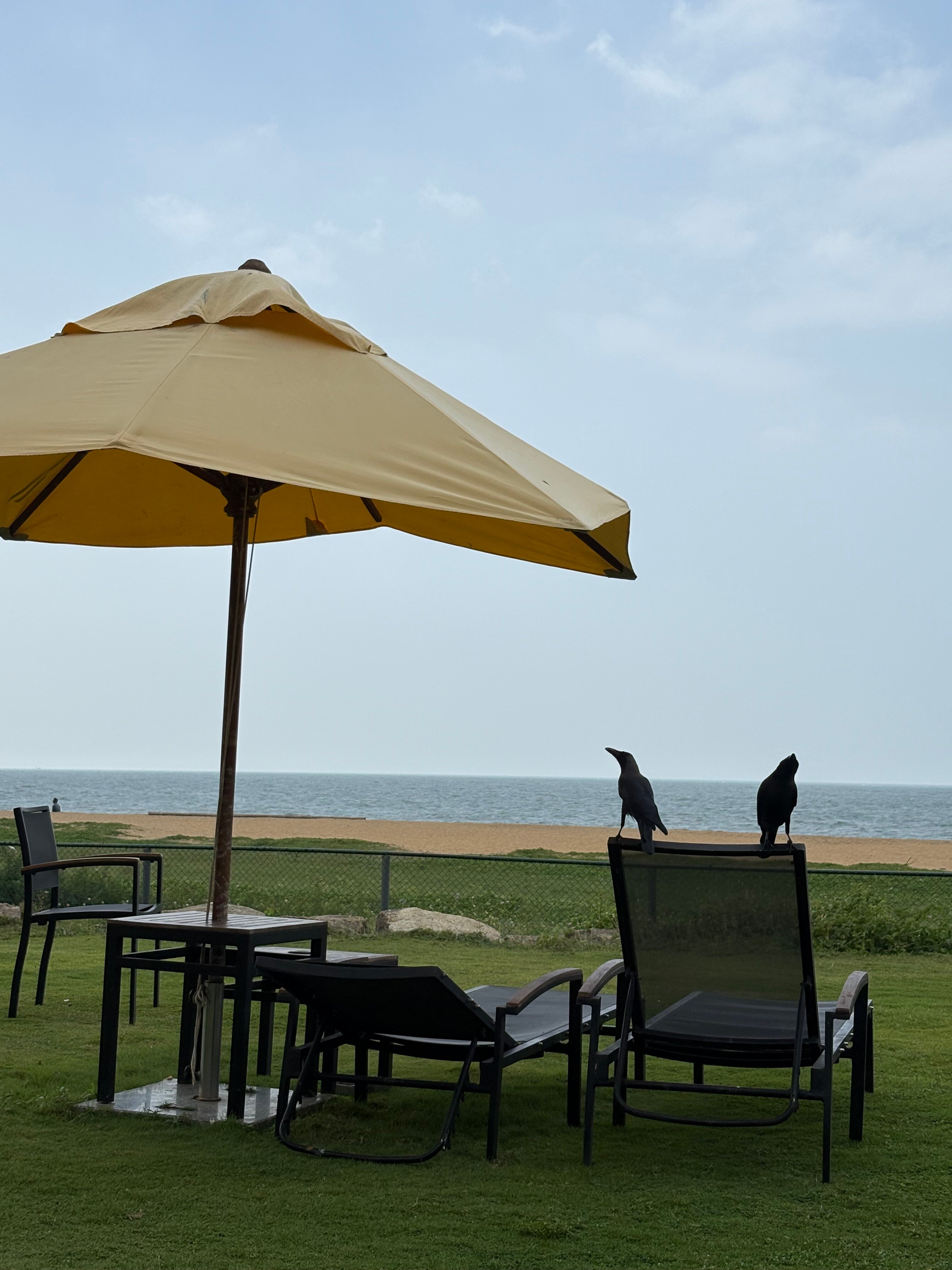 Фото Heritance Negombo