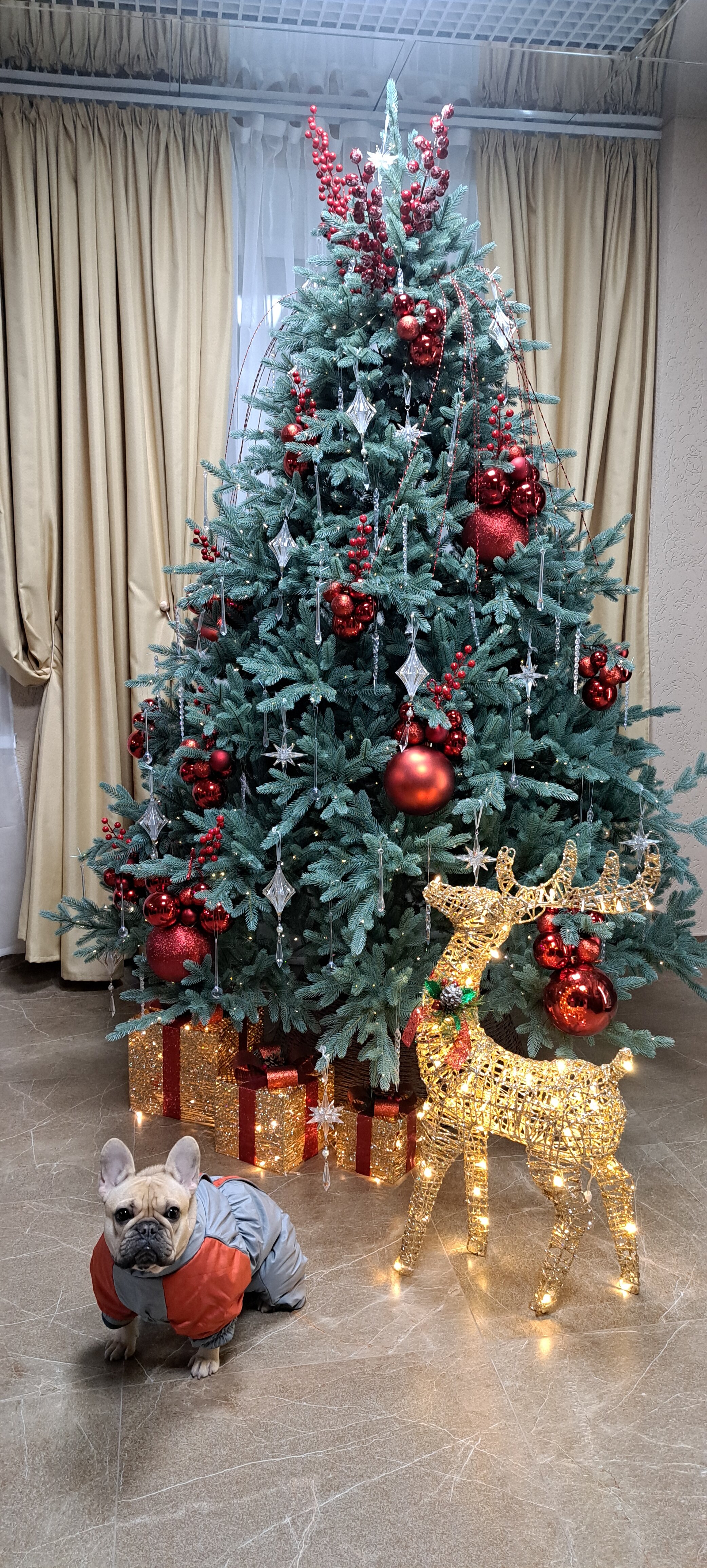 Фото Престиж