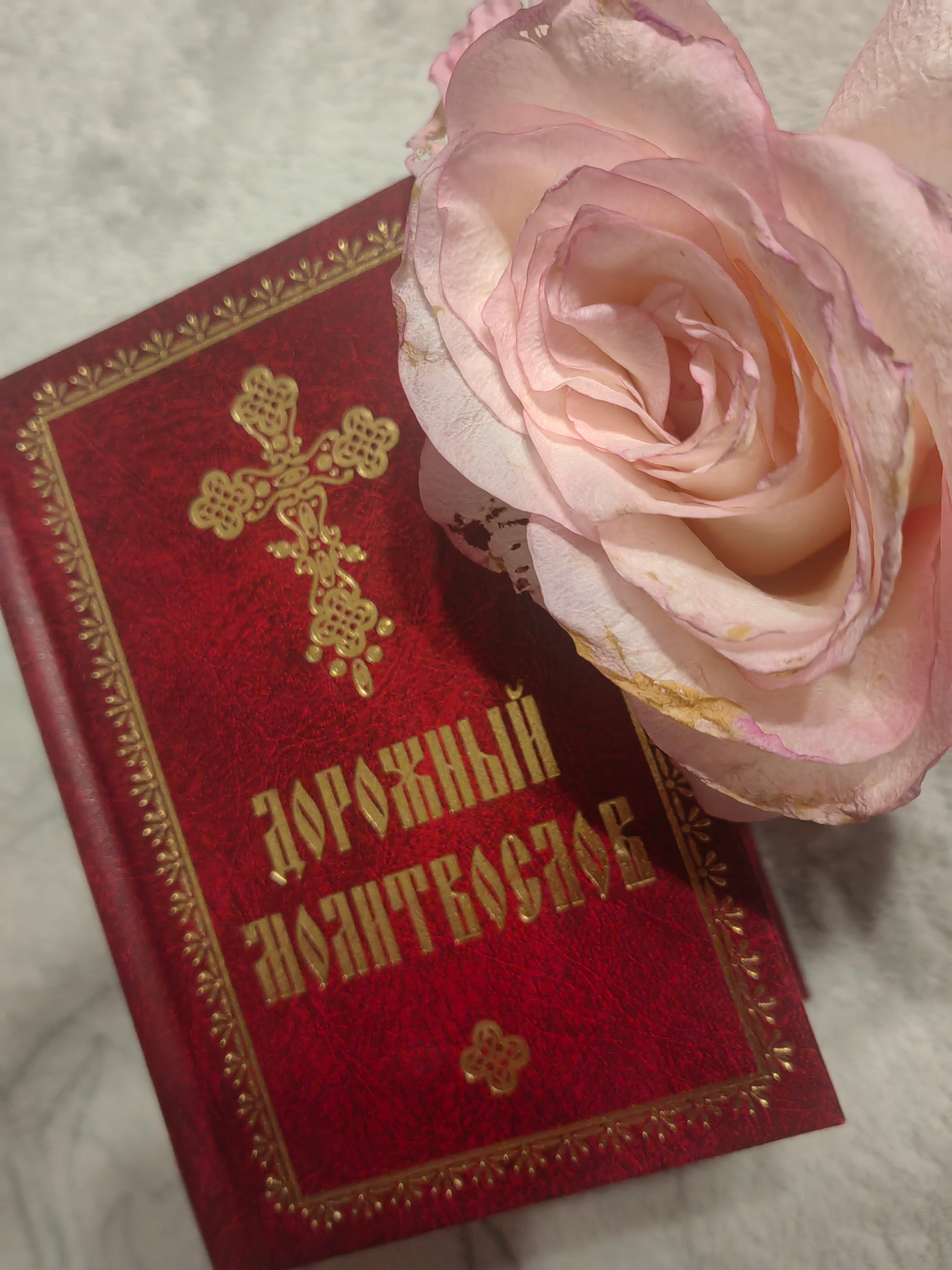 Фото Покровская