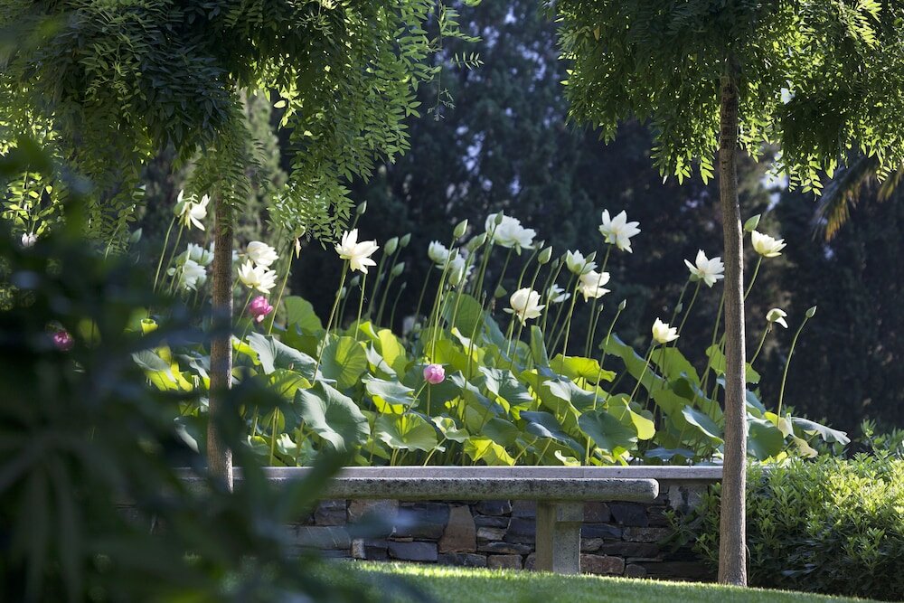 Фото Villa della Pergola