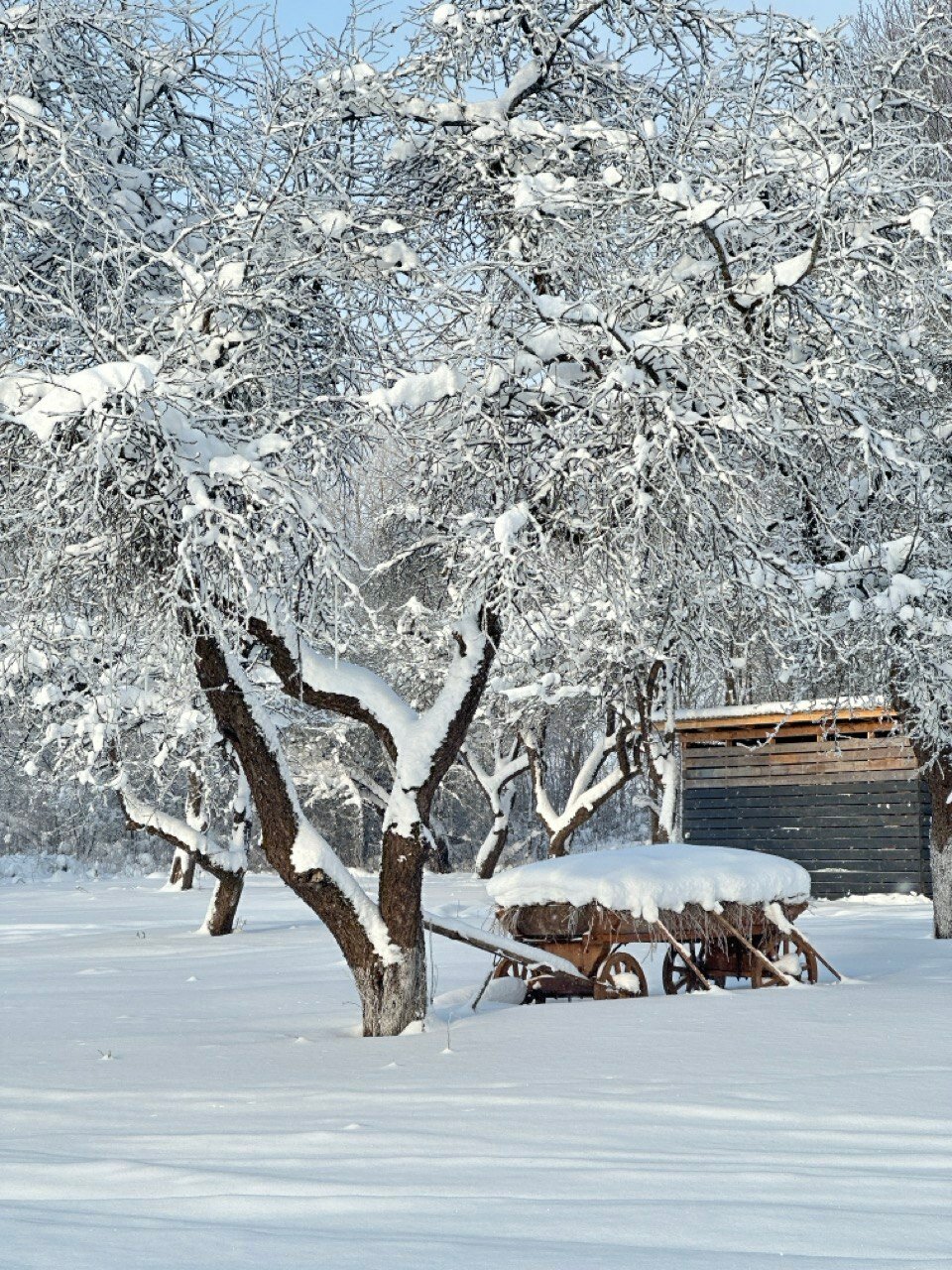 Фото Gusakov House