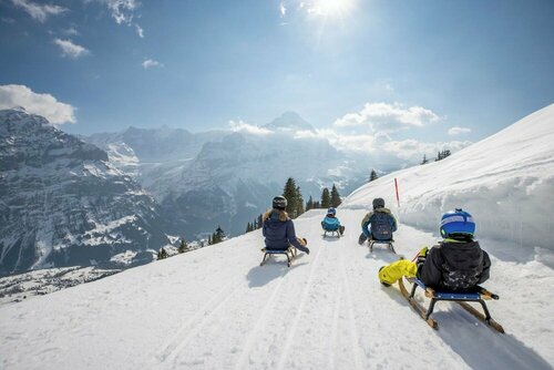 Внешний вид отеля Parkhotel Schoenegg в Гриндельвальде, фото 4