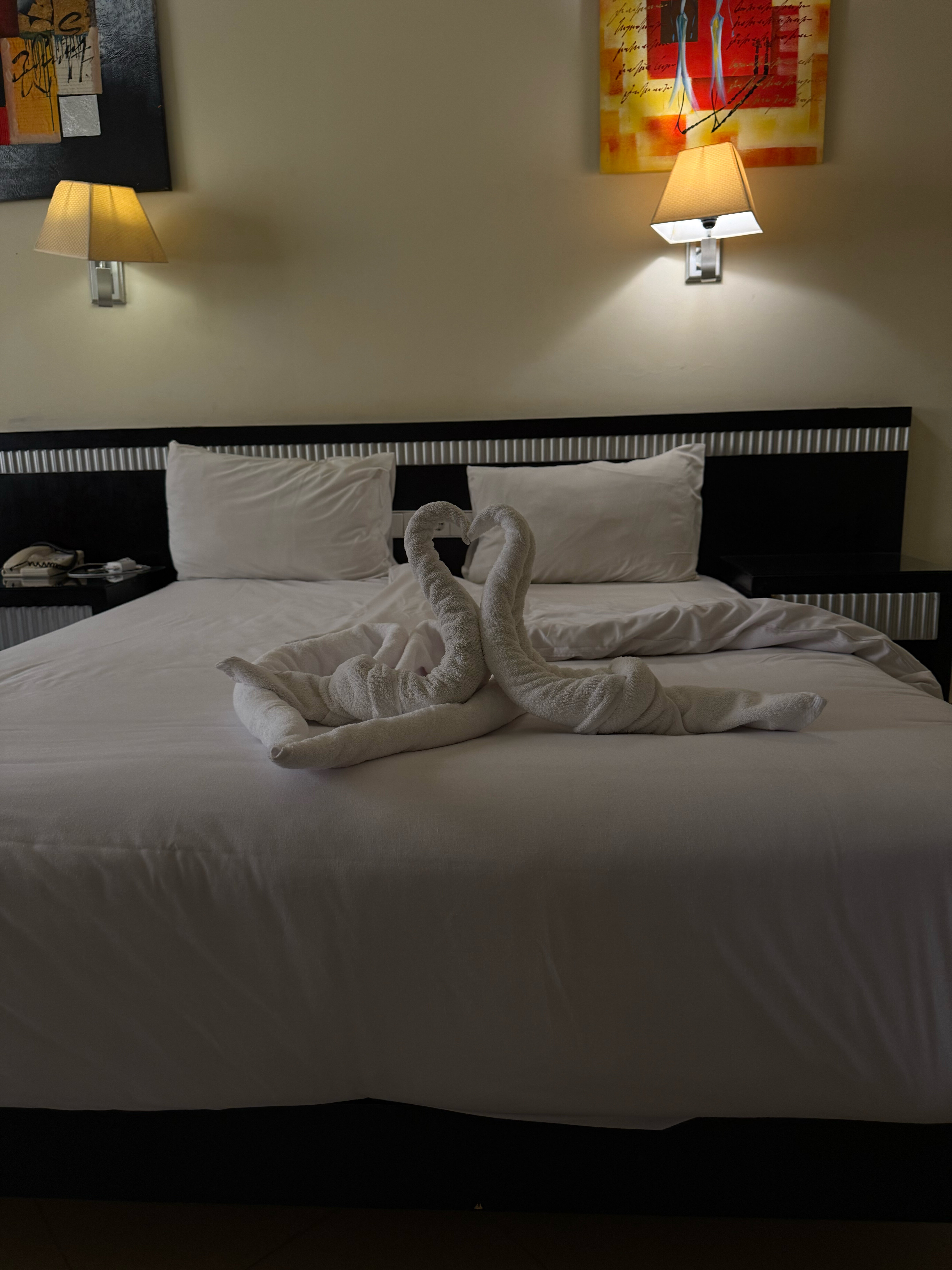 Фото Elysees Dream Beach Hotel