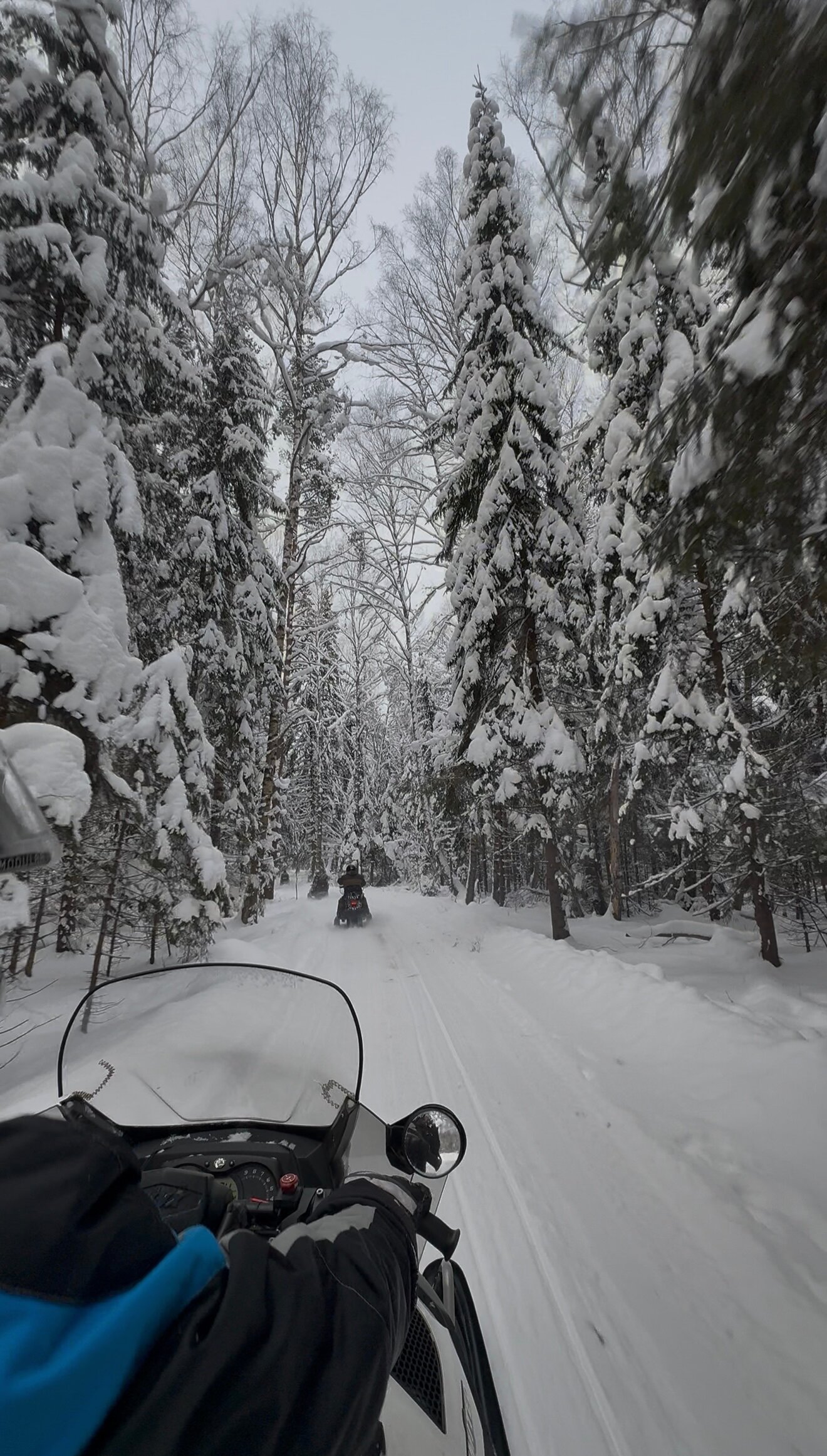 Фото Лесной скит