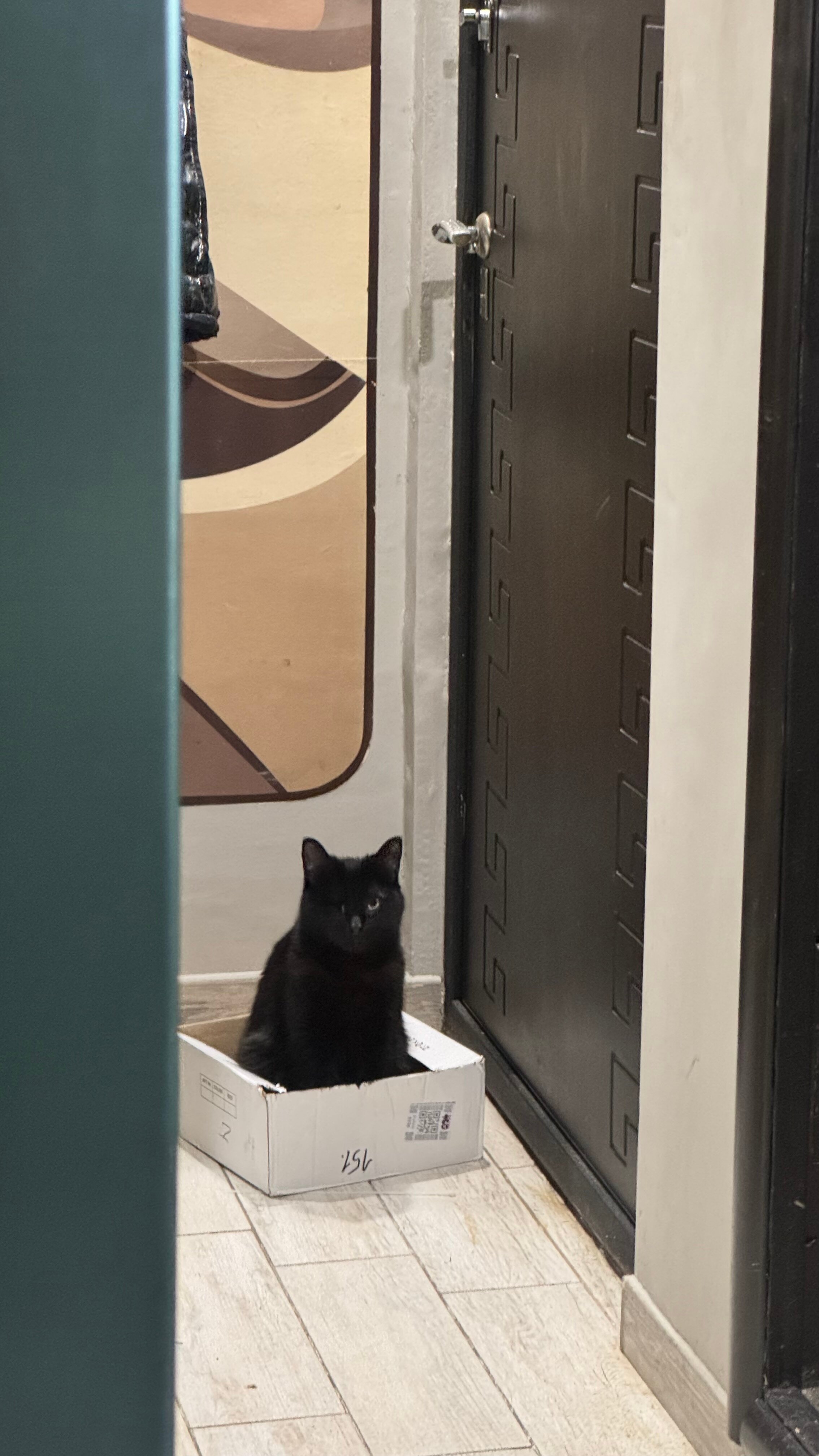 Фото Mali Namphu Hotel