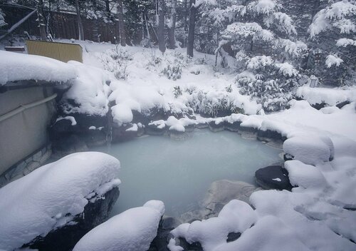 Гостиница Okunikko Konishi Hotel в Префектуре Тотиги