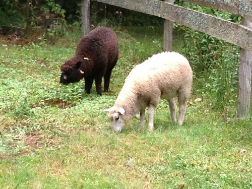 Гостиница Golden Stage Inn B&b в Штате Вермонт