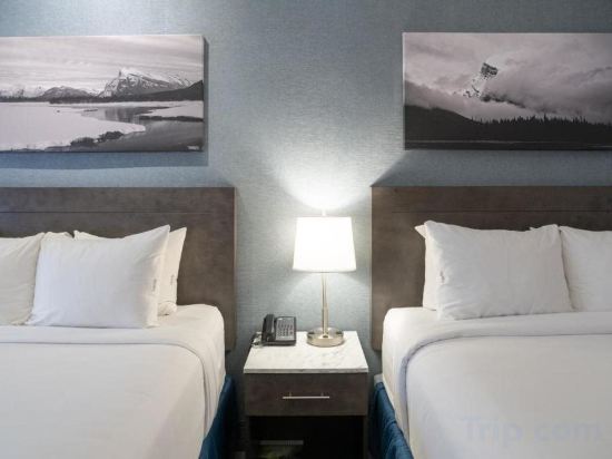 Фото Red Carpet Inn