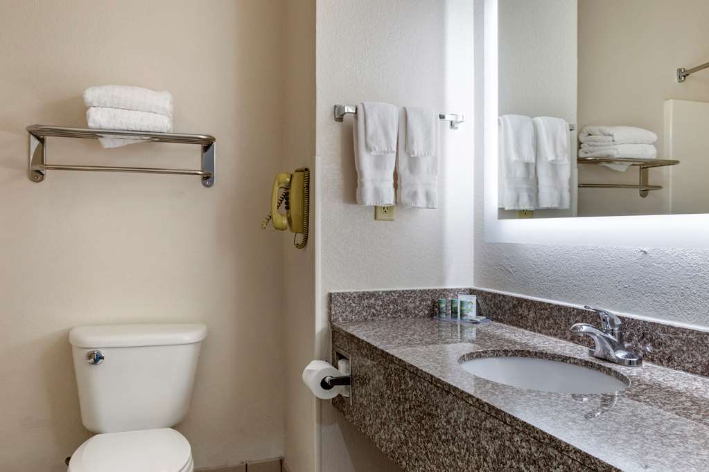 Фото Best Western Palo Duro Canyon Inn & Suites