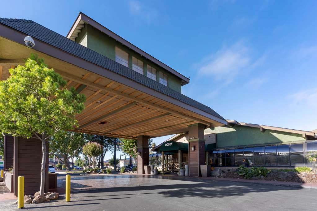 Фото Best Western Plus Forest Park Inn