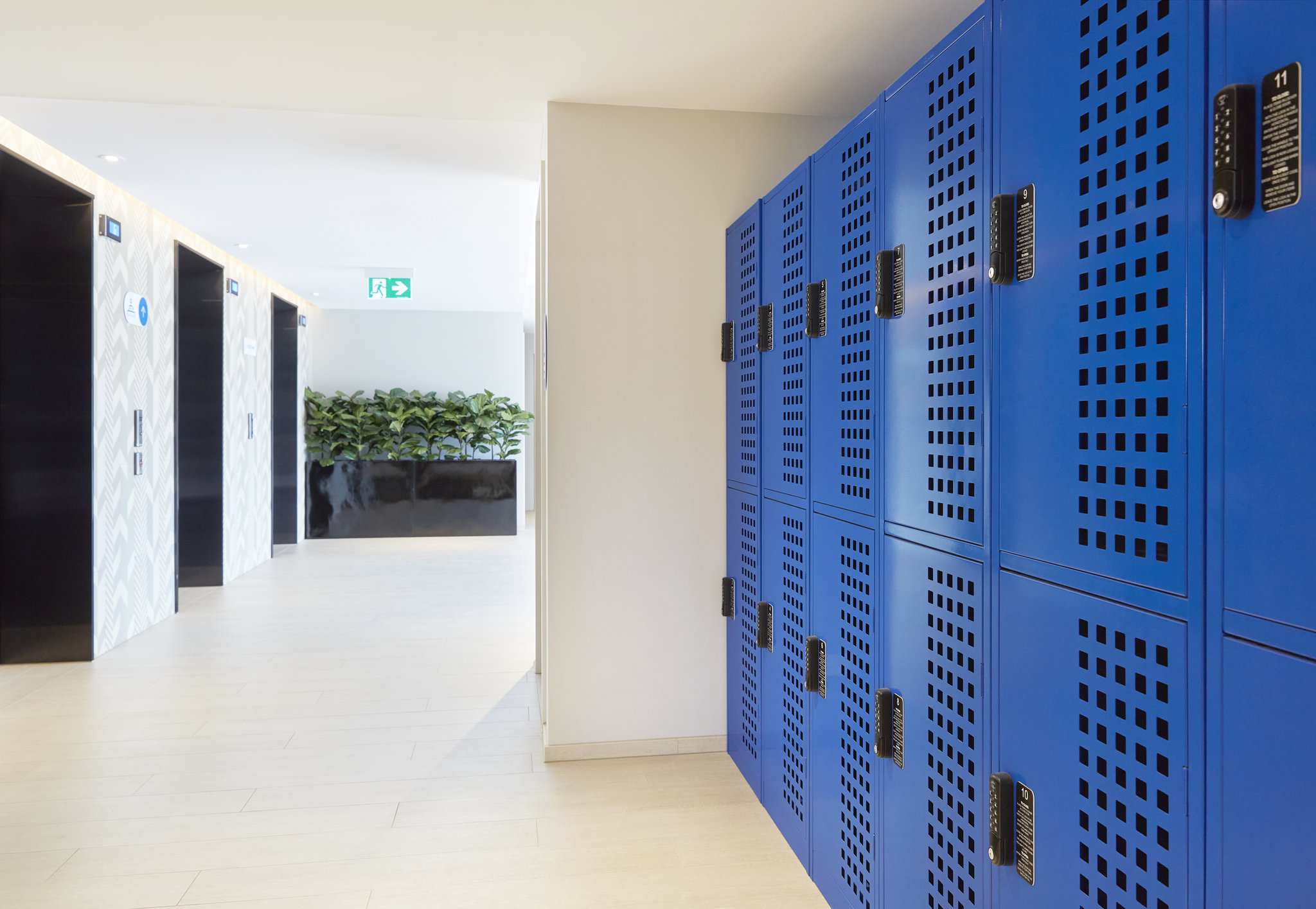 Фото Holiday Inn Express Sydney Airport, an Ihg Hotel