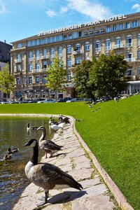 Гостиница Steigenberger Icon Parkhotel Düsseldorf