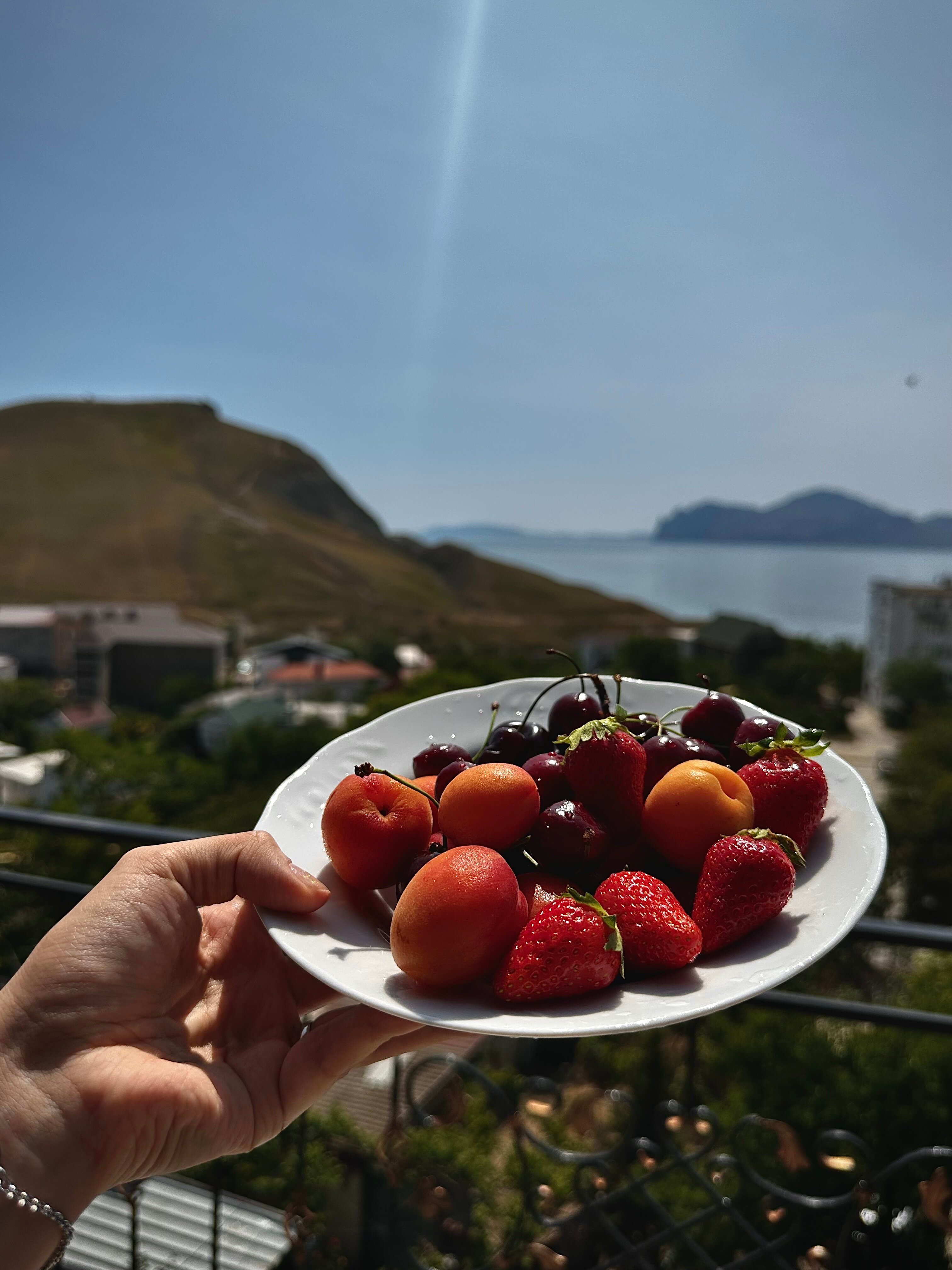 Фото Белый лебедь