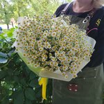 Cvetochka (Bratev Kashirinykh Street, 95), floristeria