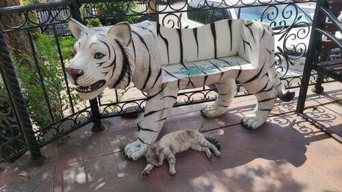 Вовканың порно видеосы