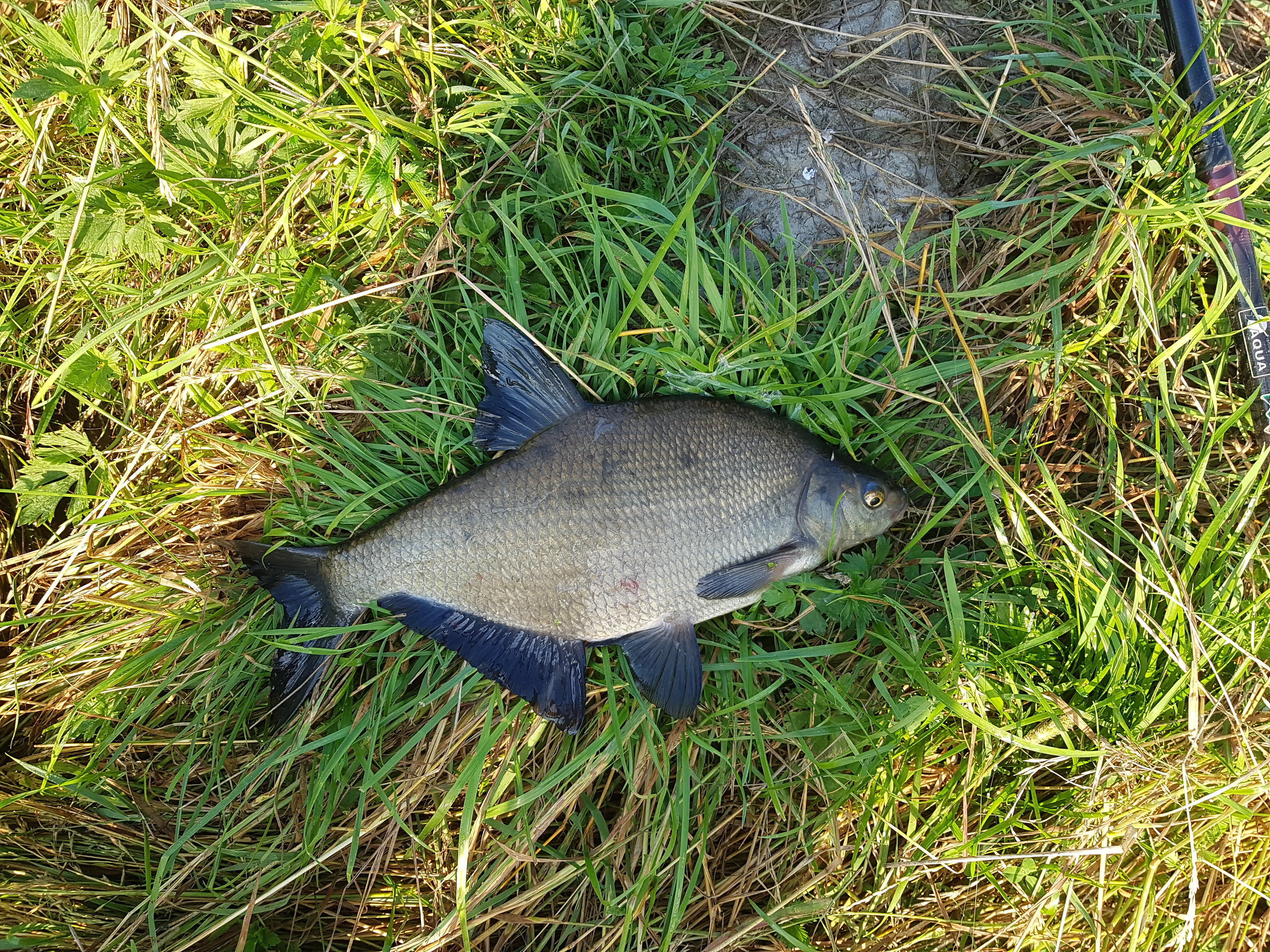 Фото Заречье