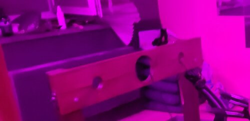 BDSM қонақ үйі Санкт-Петербург