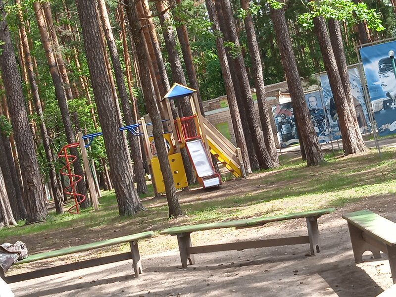 Трансвеститтік кеудені үлкейту