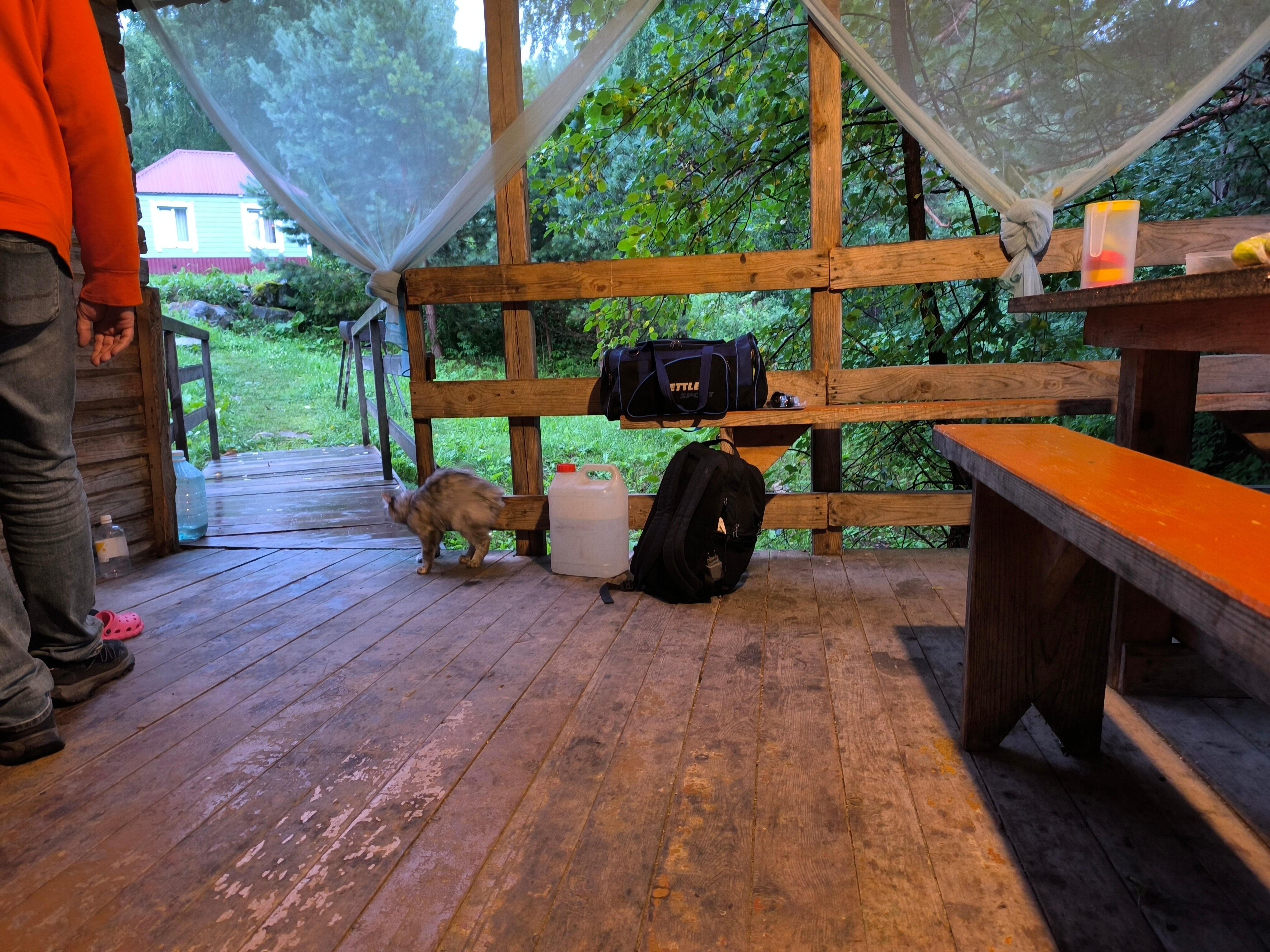 Фото Катунский утёс