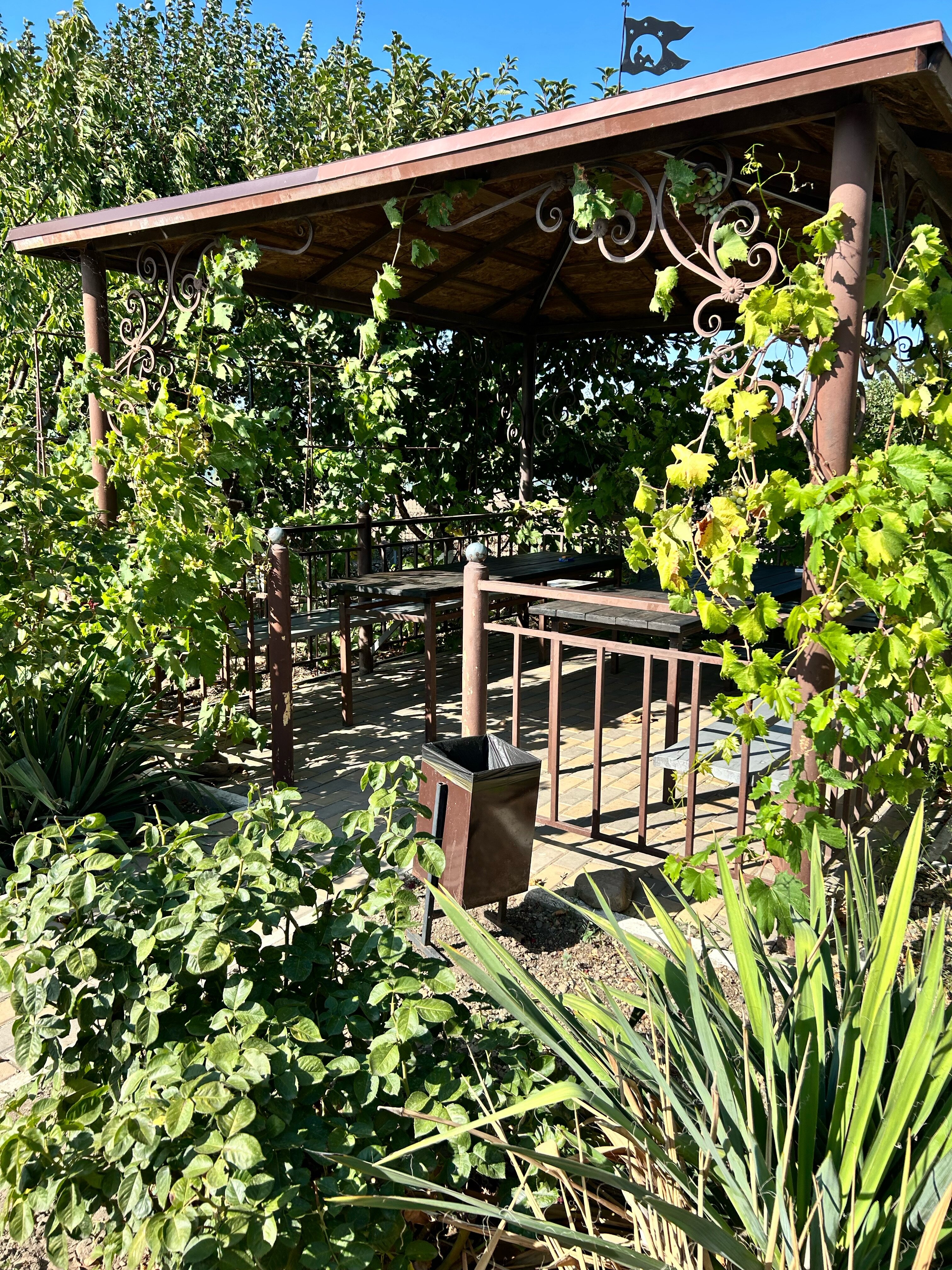 Фото Стефания на Николаевской