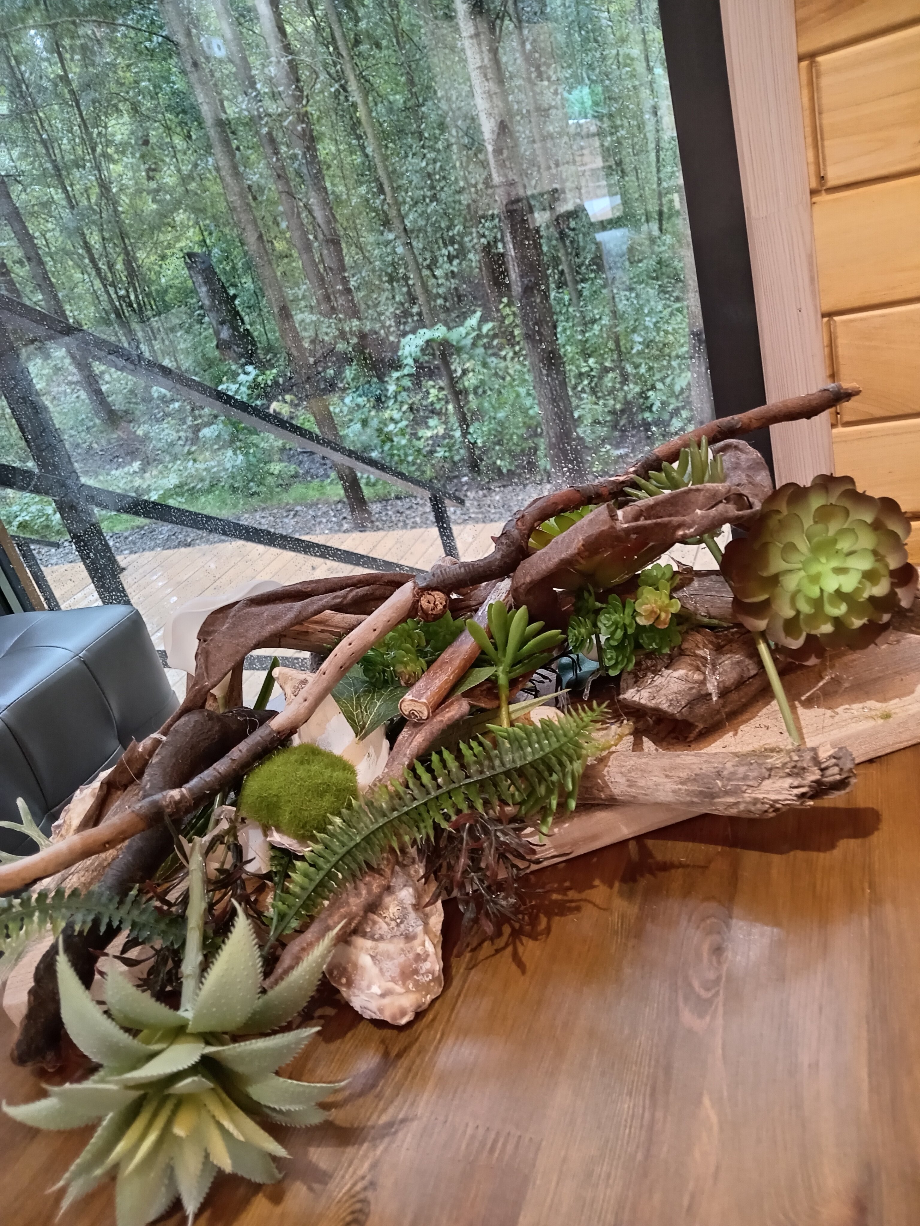 Фото Аквафорест