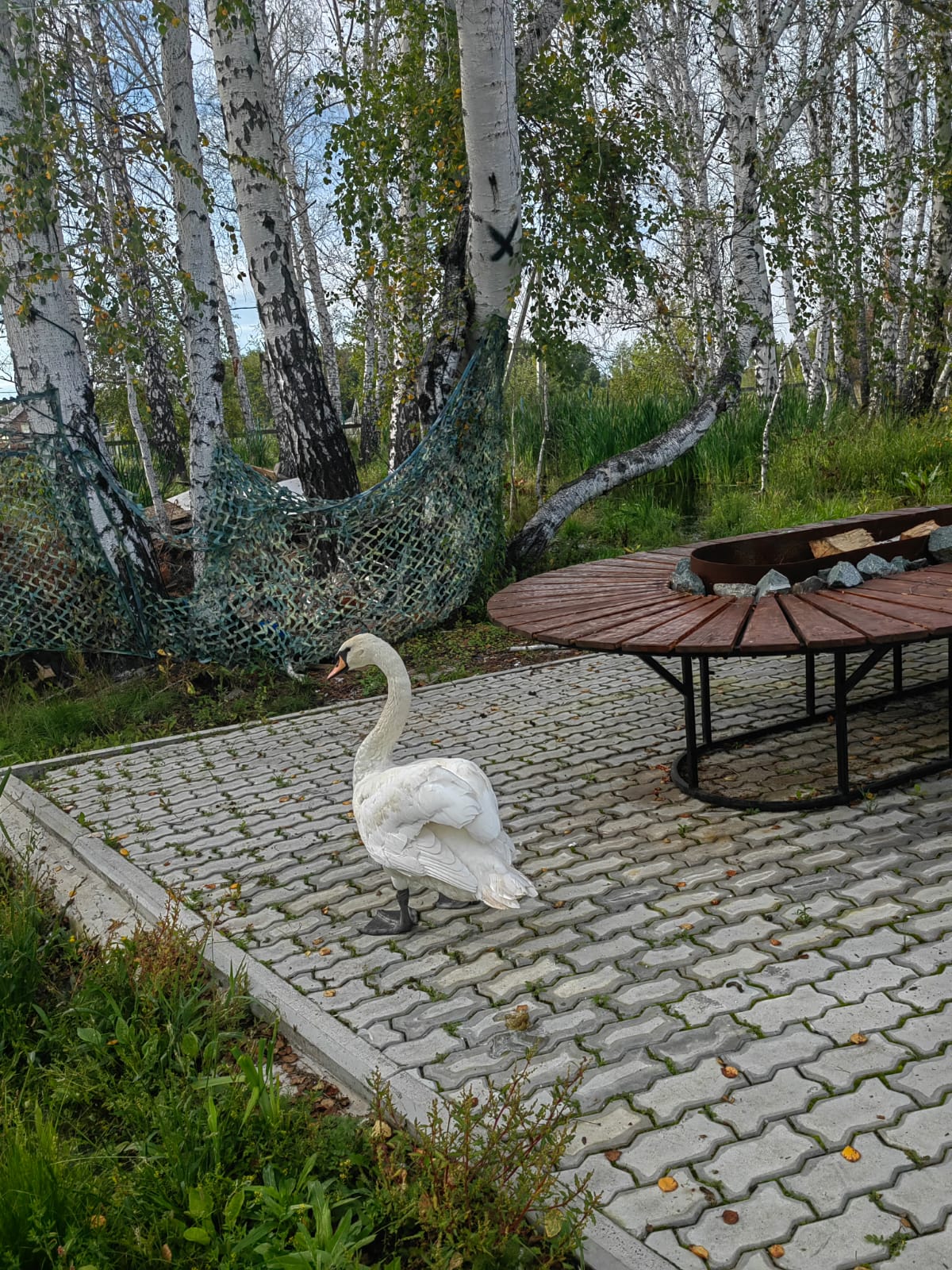 Фото Тридевятое царство