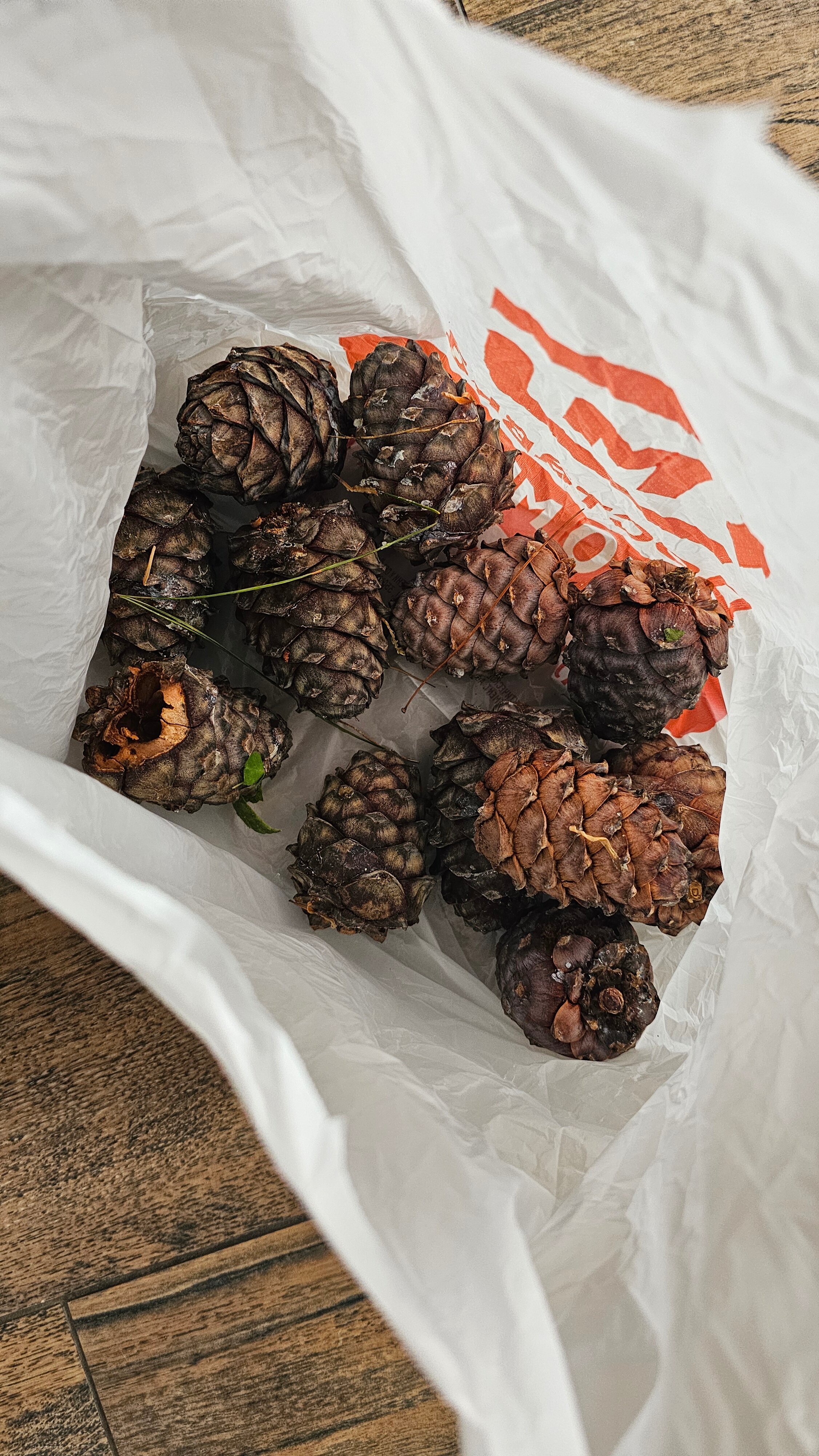 Фото Вместе