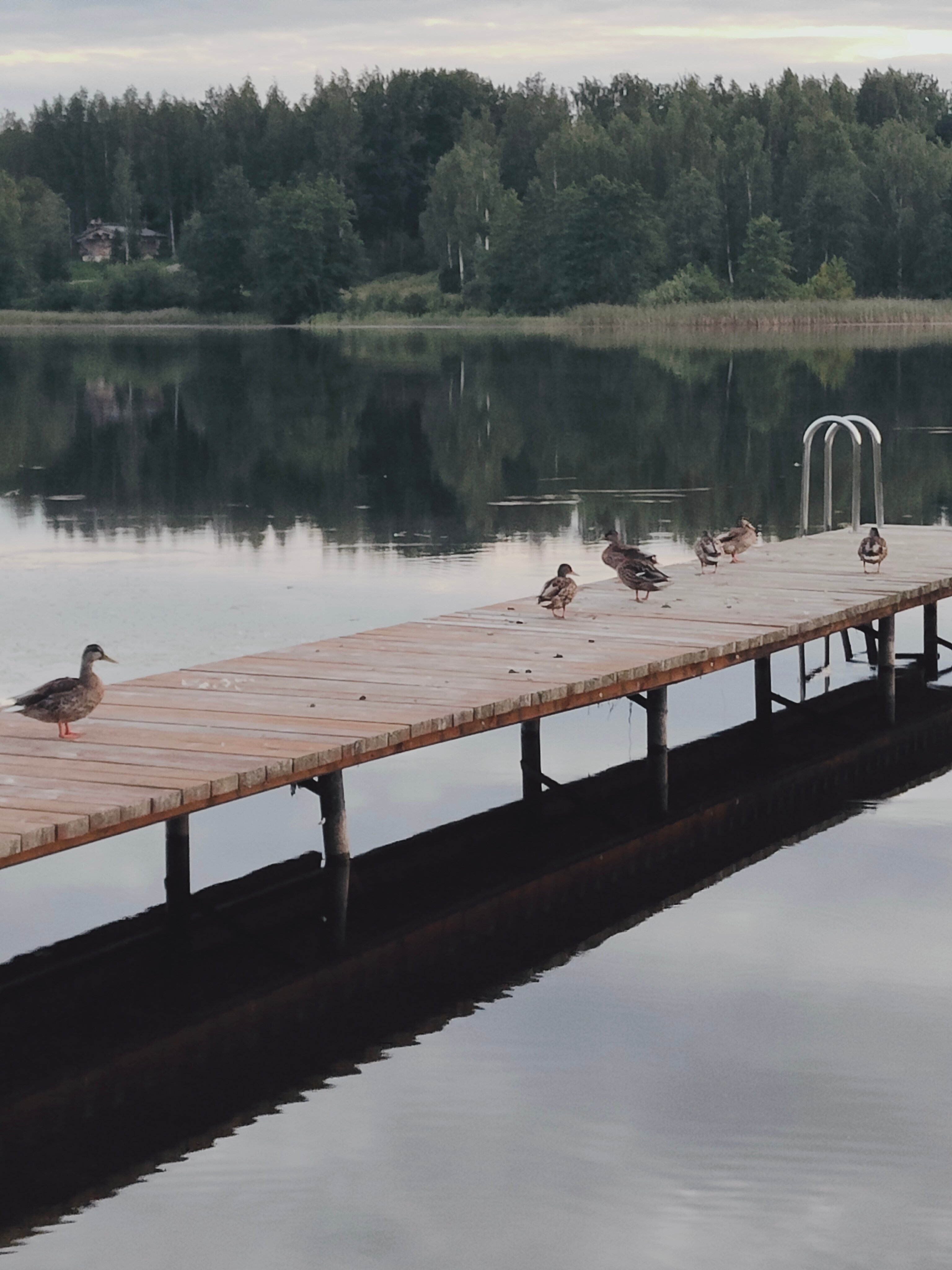 Фото Русская усадьба