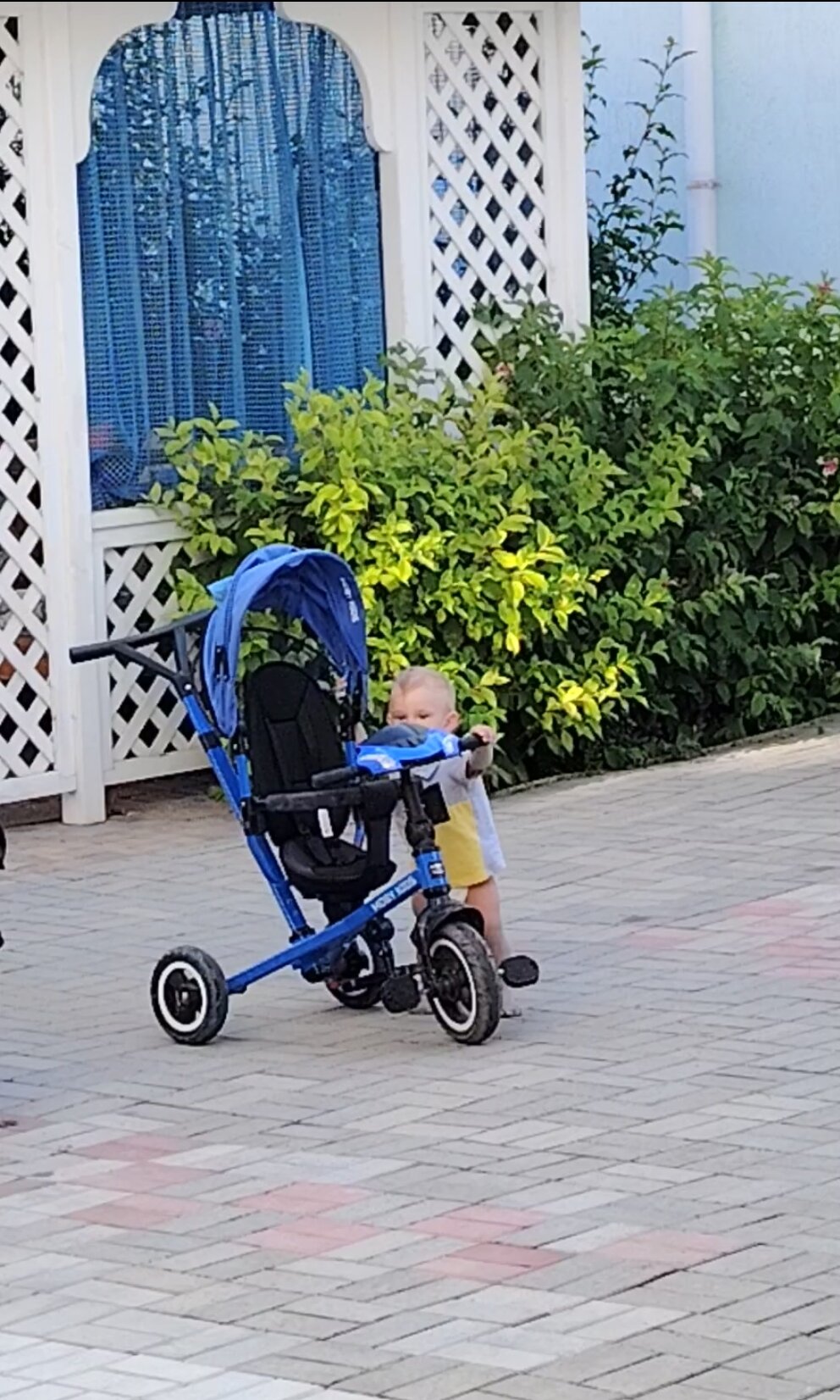 Фото Жемчужина Каламиты