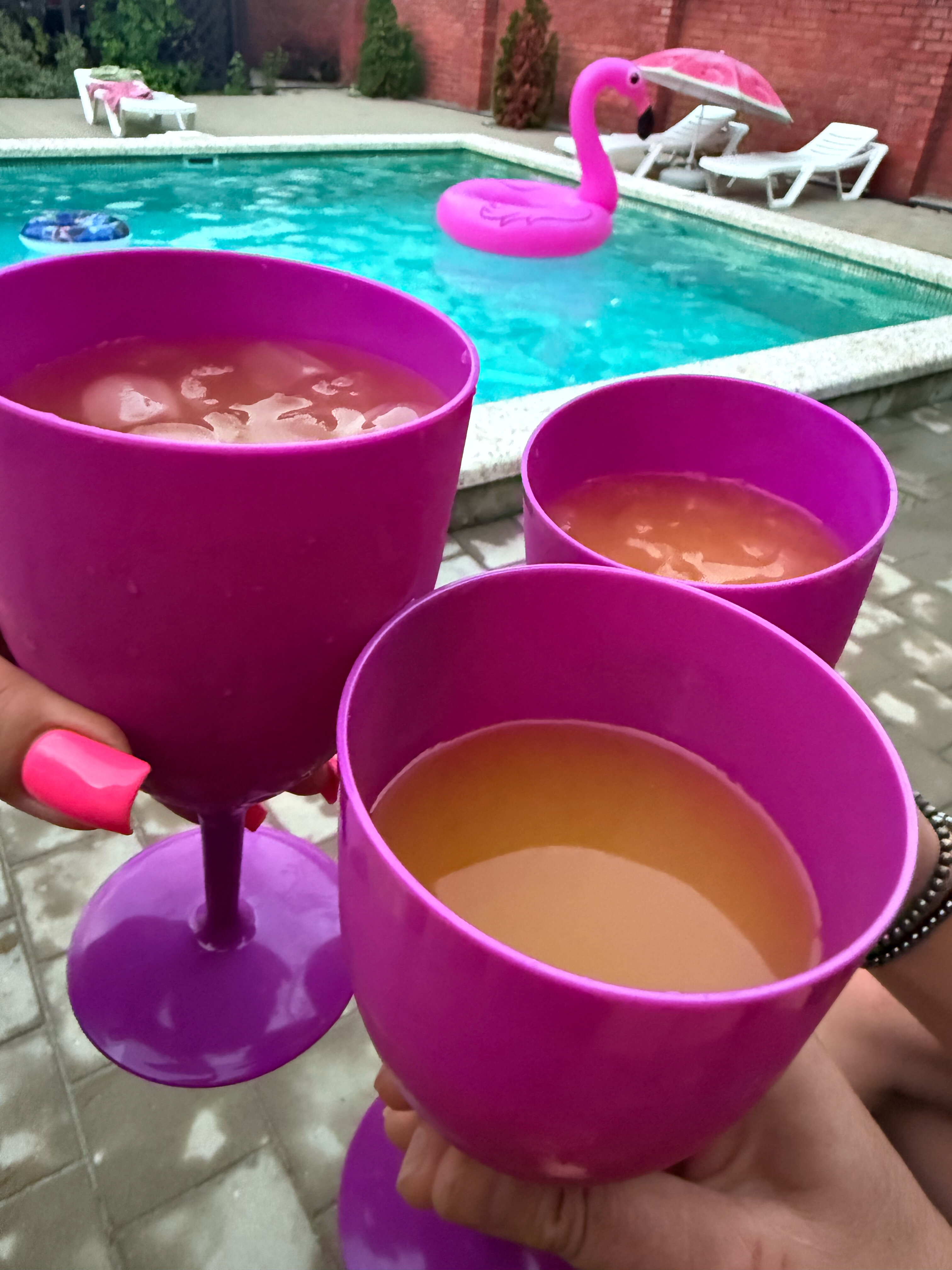 Фото Эскаргот